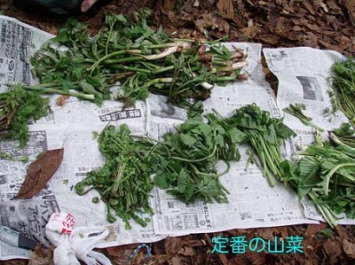 銀山川薬師沢