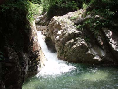 お盆山行　朝日泥又川から赤イ沢