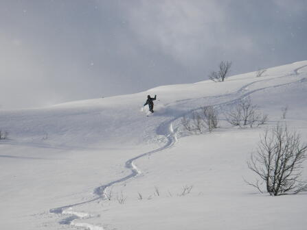 ニセコ山スキー