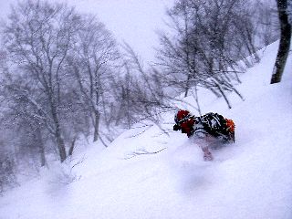 小日向山　山スキー with 腰パウダー