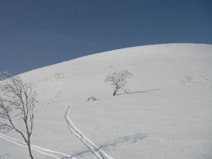 ニセコ通信３　前目国内岳南面　山スキー