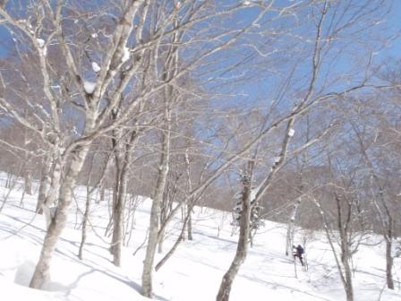 尾瀬・大行山スキー