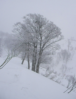 浅草岳山スキー