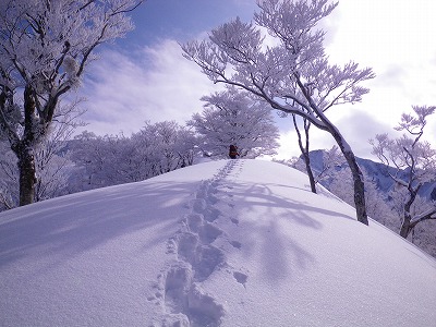 大源太山・ブドー尾根〜ヤスケ尾根