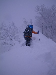 日本平山〜日倉山〜マンダロク山（早出川右岸縦走）