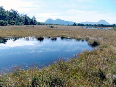 尾瀬・東岐沢〜鬼怒沼