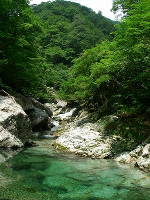 和賀川本流〜大鷲倉沢