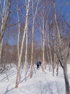 尾瀬西山周辺山スキー