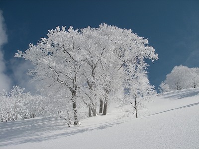 越後・阿寺山　山スキー