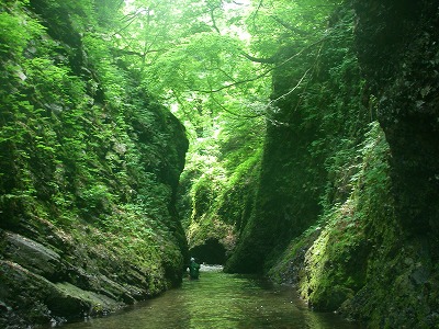 川内・谷沢川本流〜大倉沢