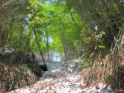 越後／上権現堂山・ぬりっこ沢～毛の又沢川下降