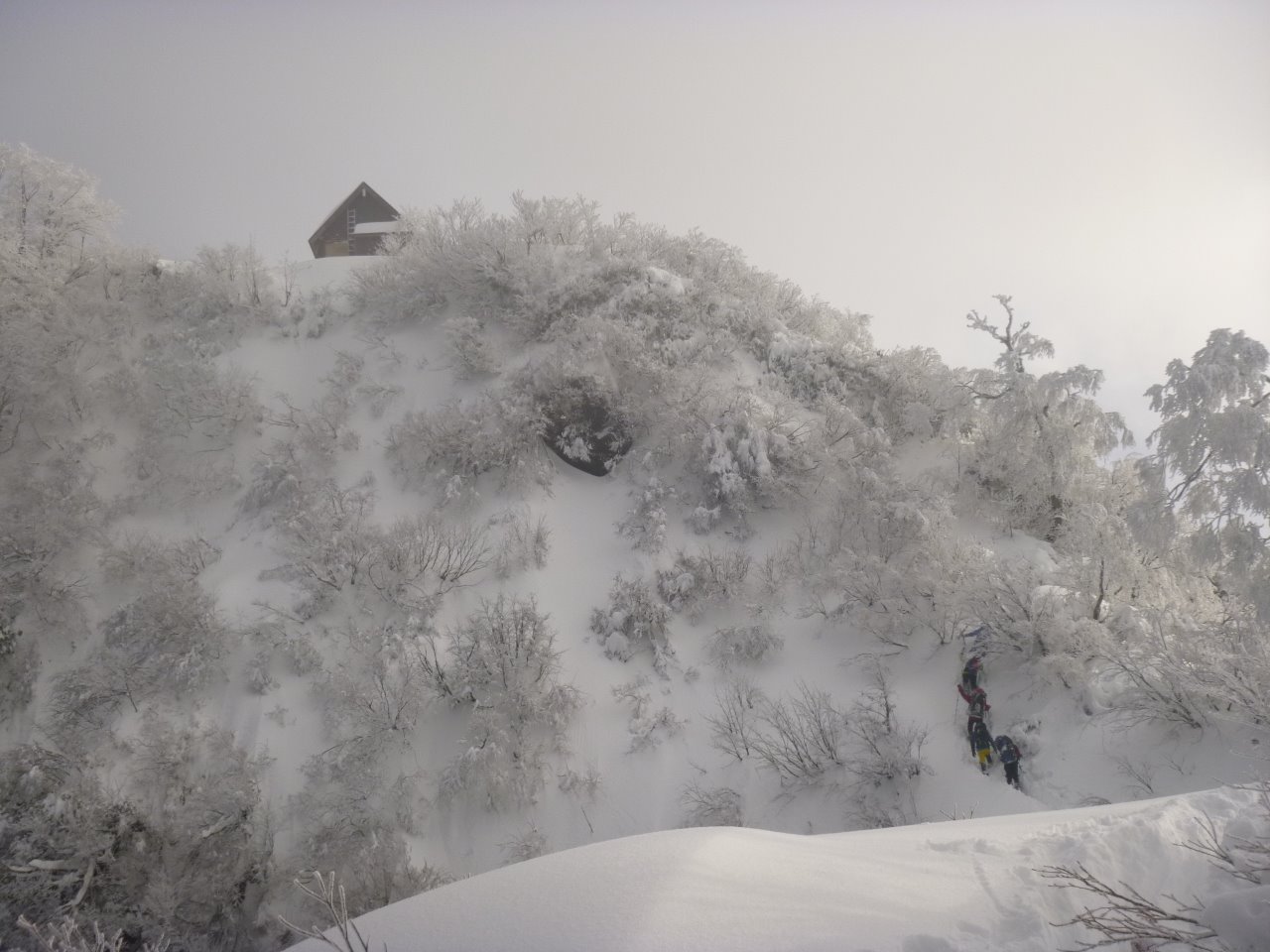 八海山ラッセルトレ