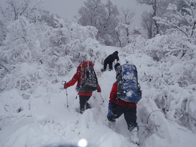 鶴岡～摩耶山（途中エスケープ）