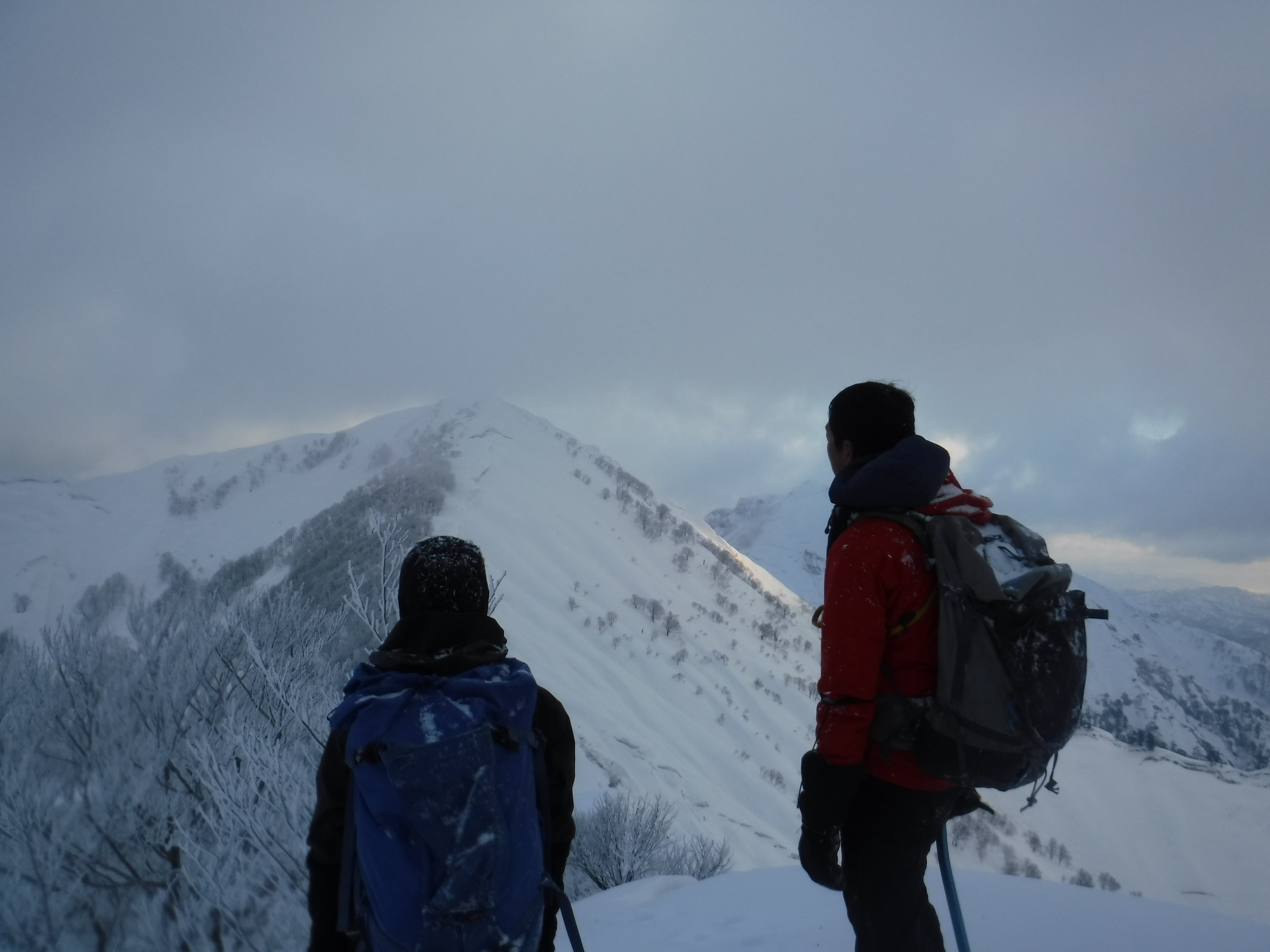 マイナー登山 大川猿倉山