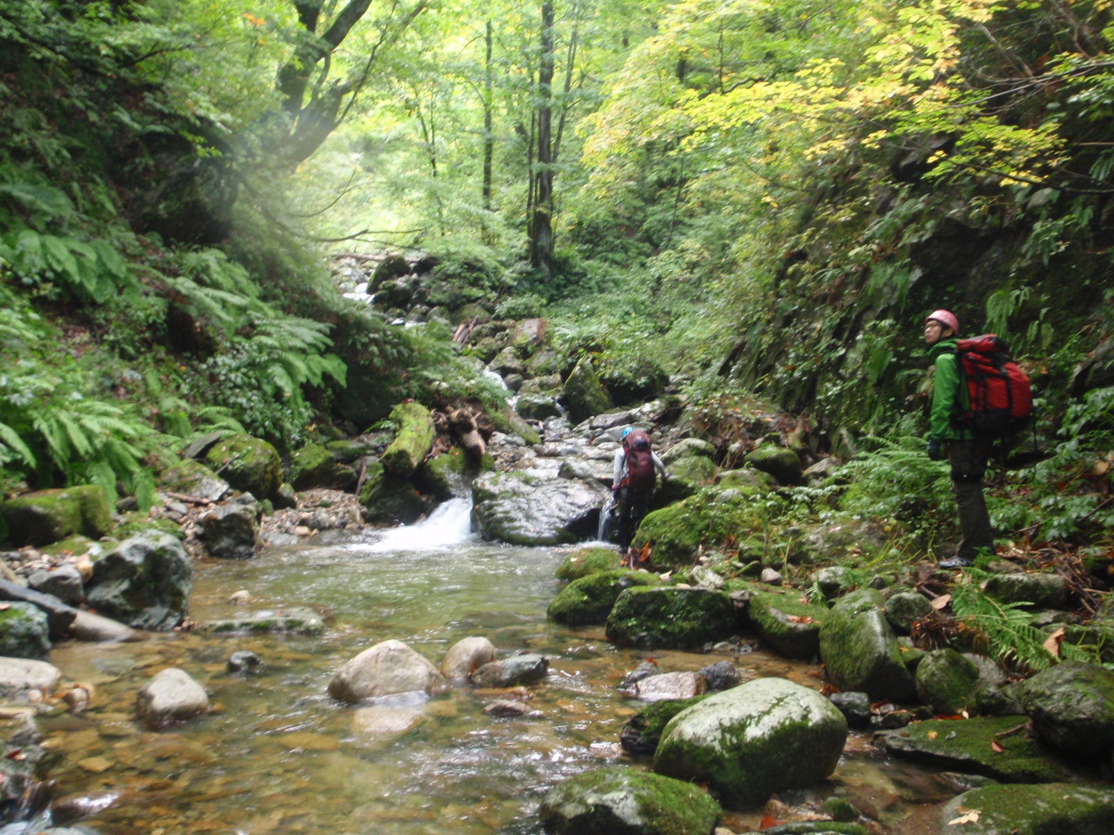 秋田・太平山地白子森の沢旅