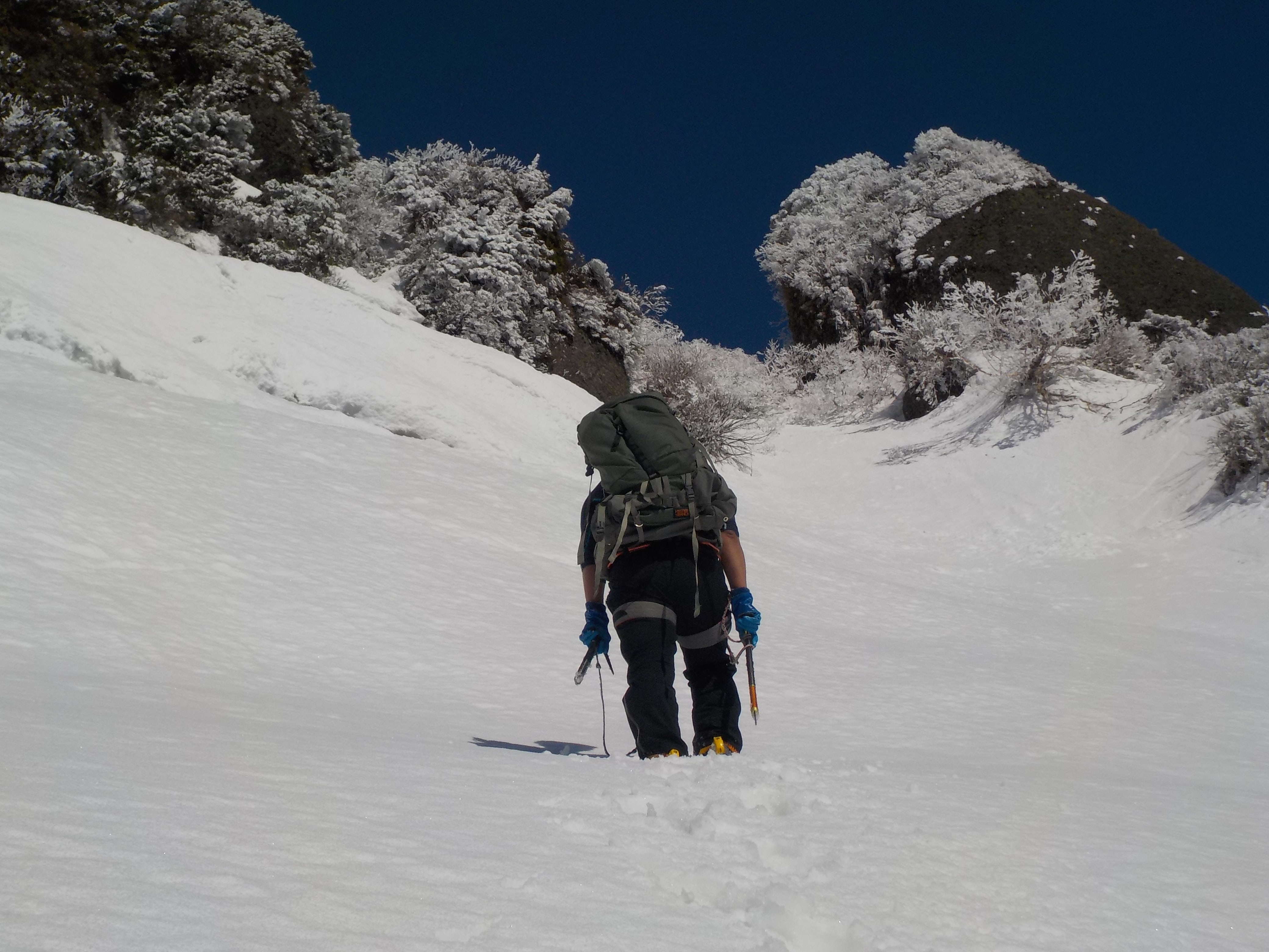 八海山新開道尾根