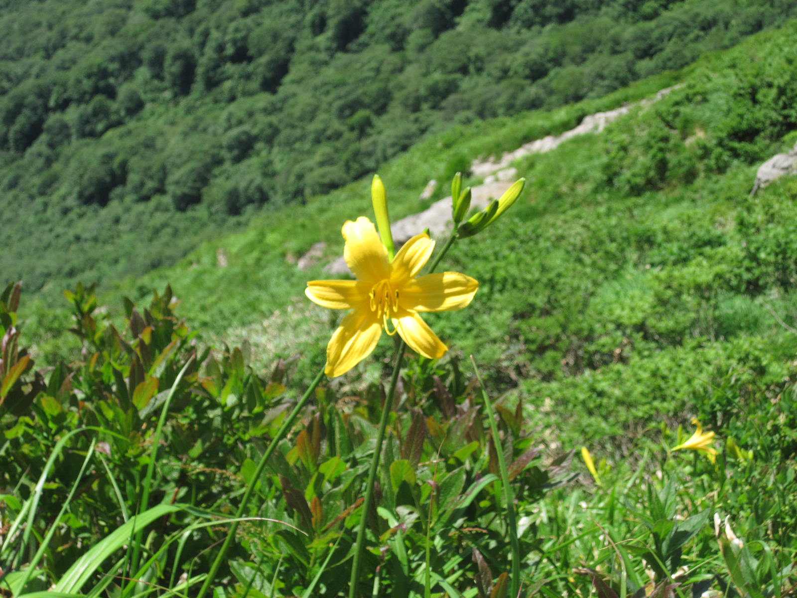 谷川岳／東黒沢〜ウツボキ沢左俣