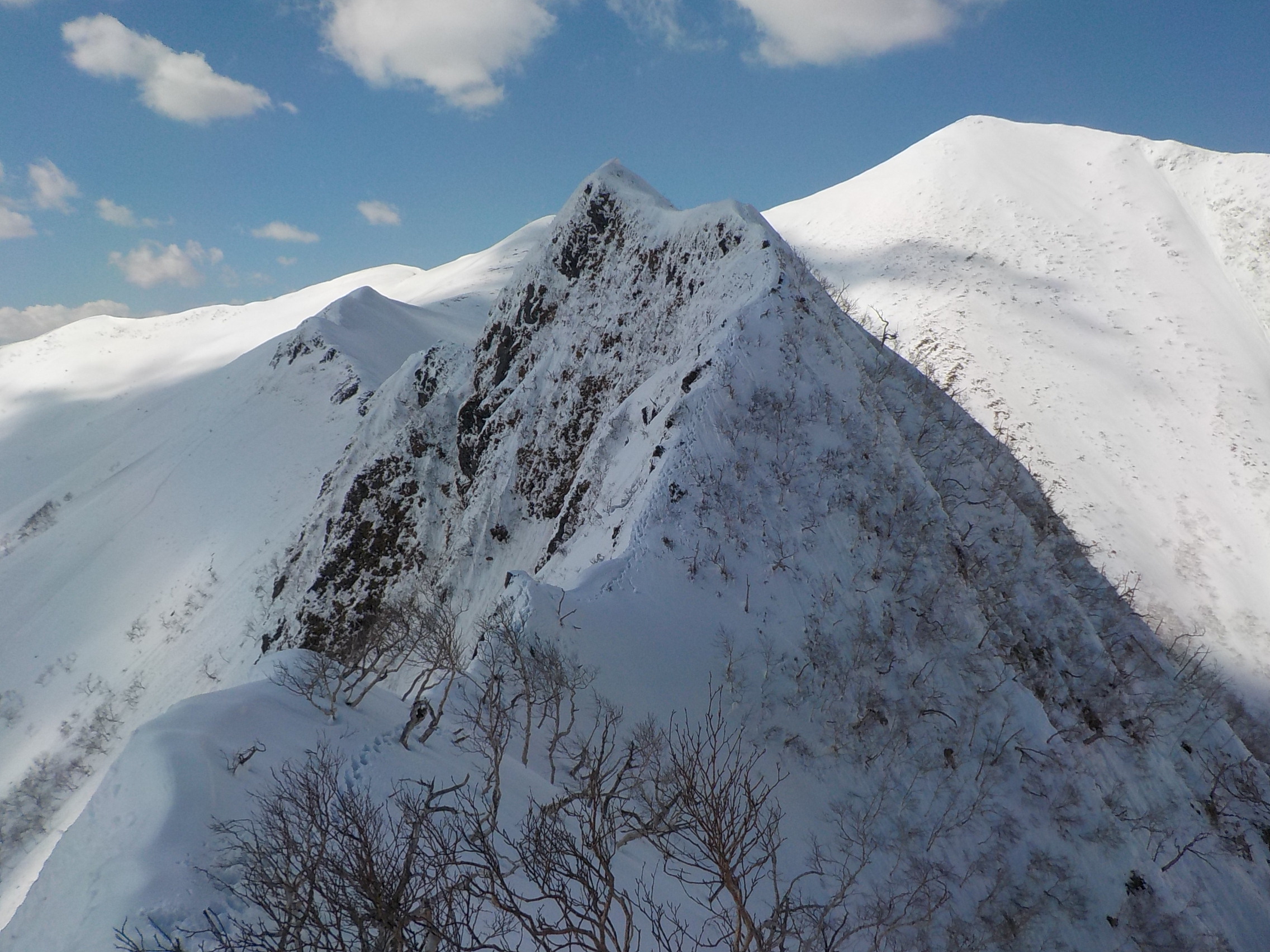 日高/ペテガリ岳東尾根～中ノ岳