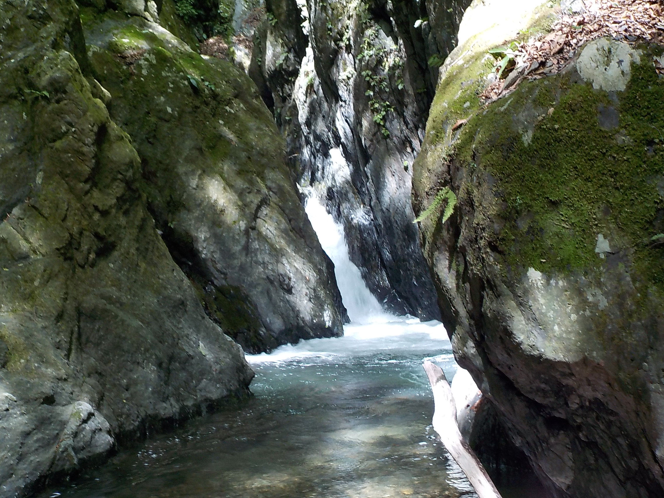 奥多摩/水根沢