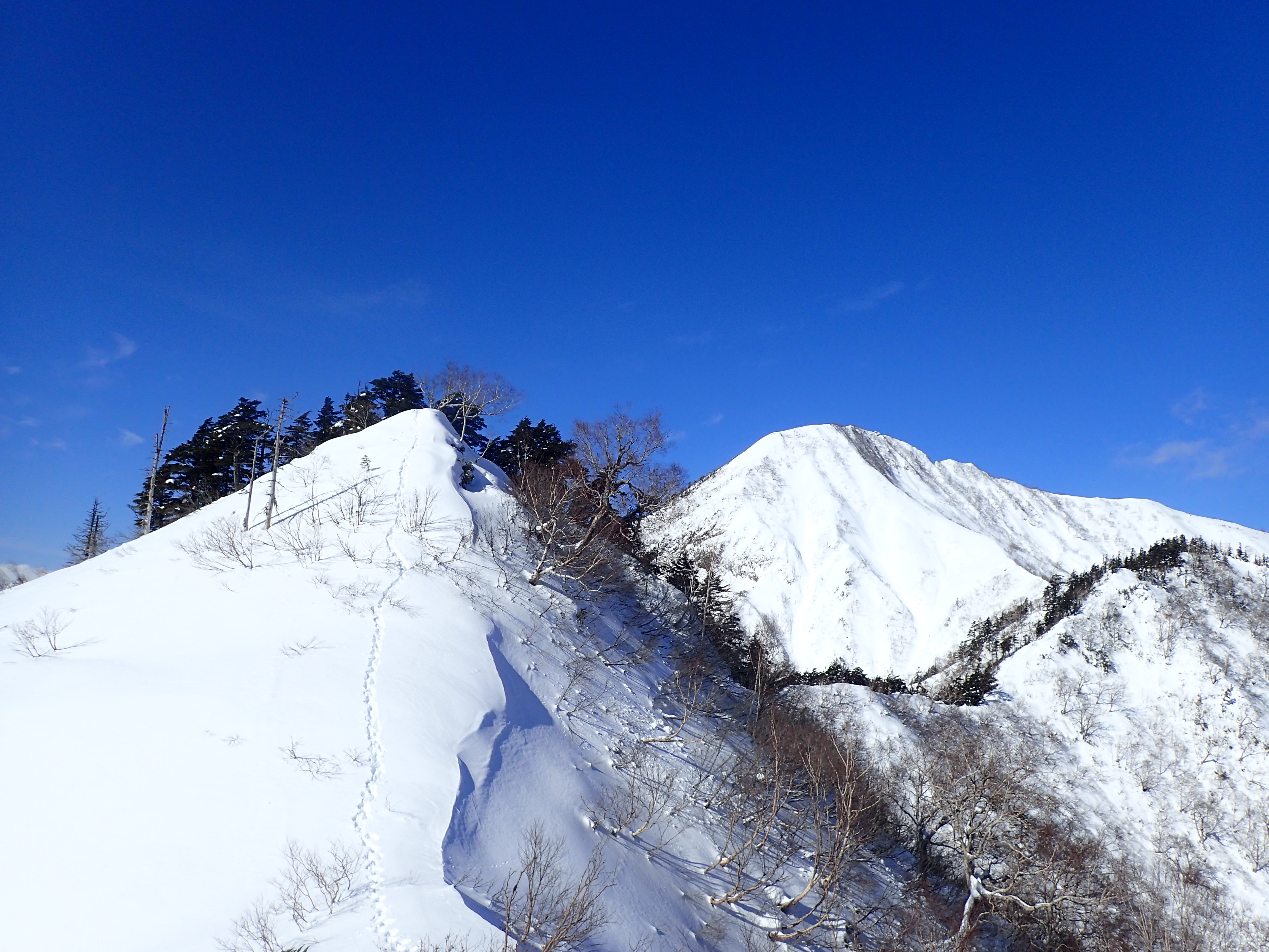 素晴らしいパノラマ　戸隠/高妻山