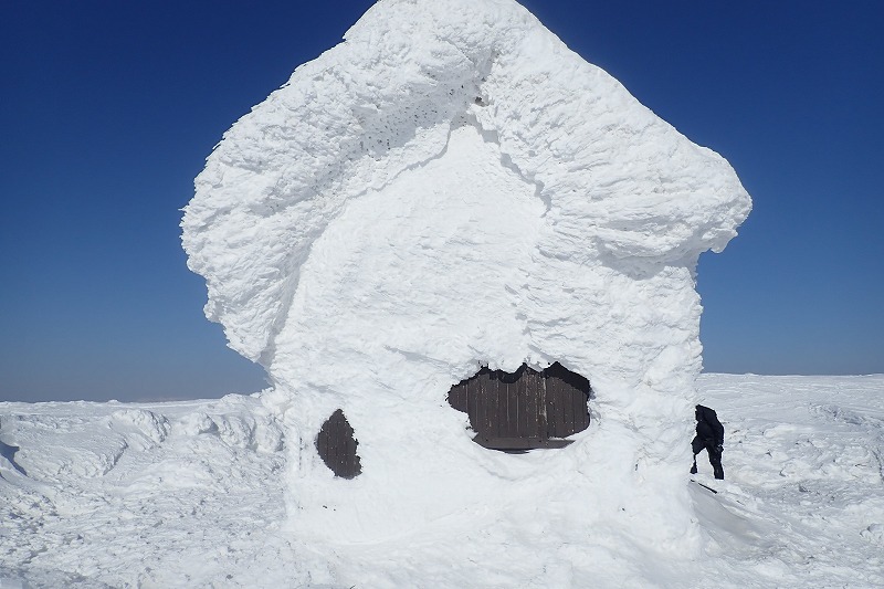 寅年ってことで虎毛山行こ！！