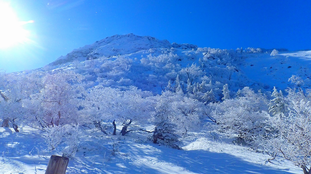 雪積もりました!　日光白根山東稜