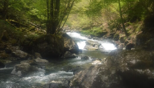 奥多摩・奥秩父　大雲取谷遡行～大洞川荒沢谷アシ谷下降～大洞川椹谷ホラの貝窪遡行